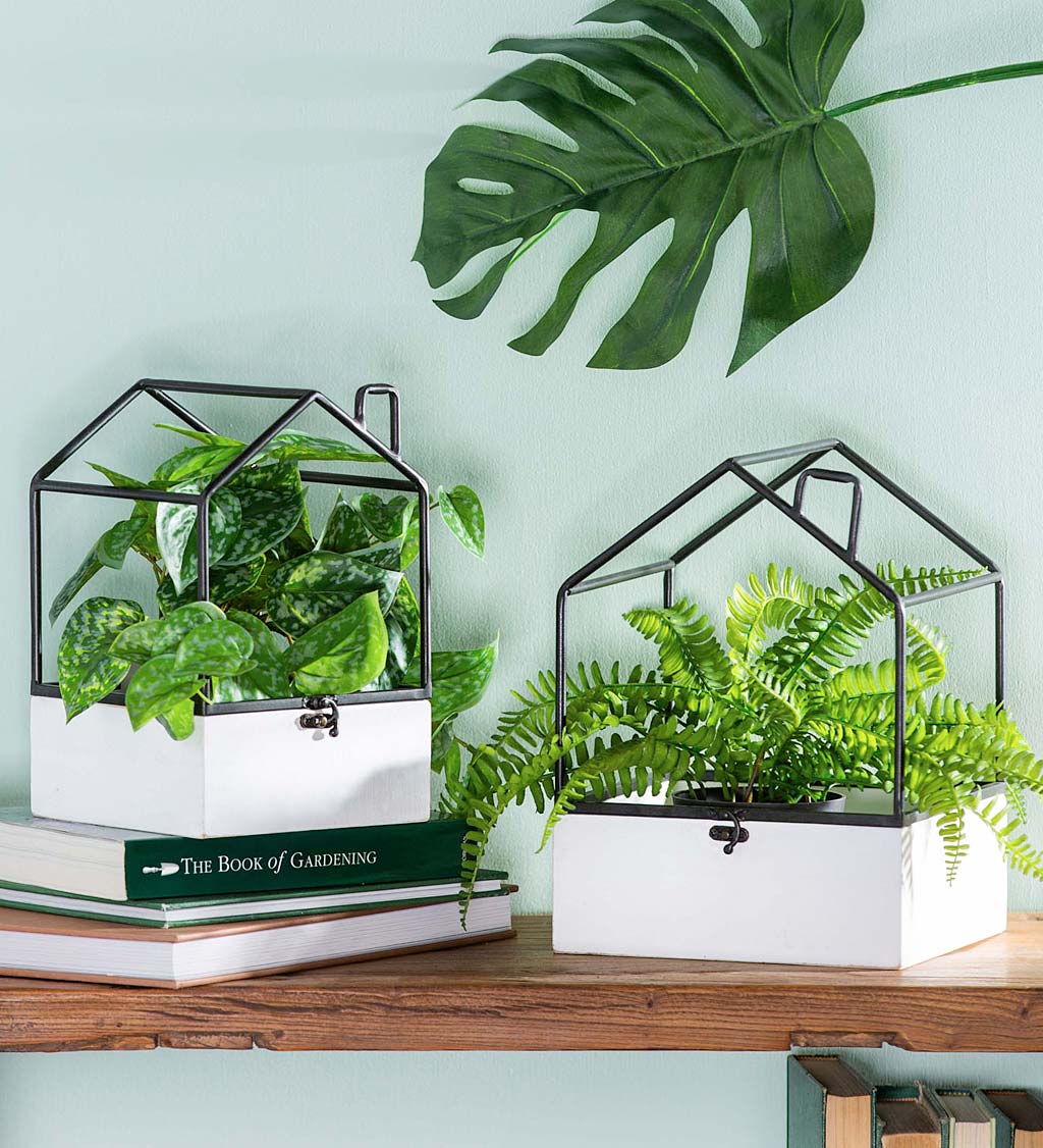 Indoor Planters & Terrariums