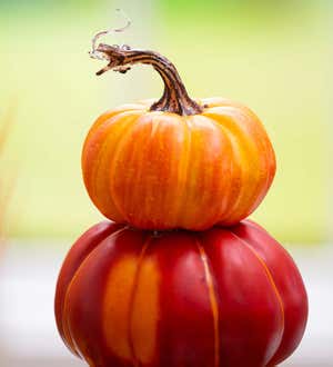 Stacked Pumpkin Centerpiece