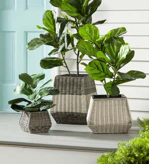 Indoor/Outdoor Wicker Planters, Set of 3