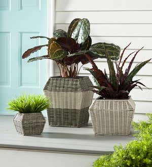 Indoor/Outdoor Wicker Planters, Set of 3