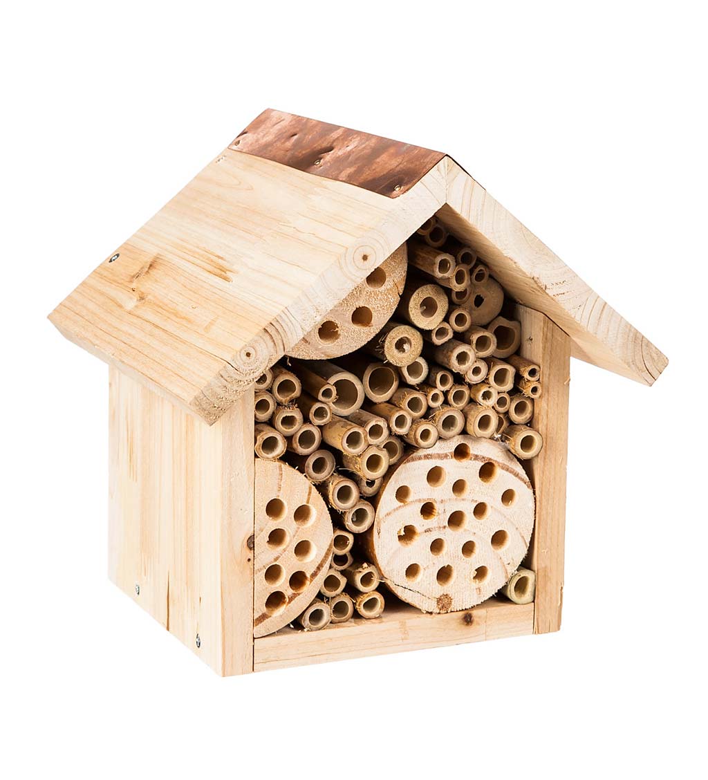 Busy Bee Wooden Habitat House