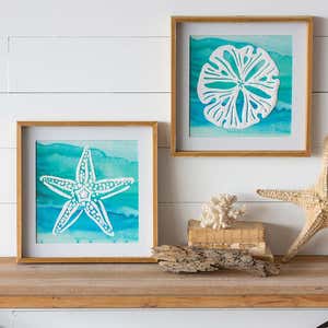 Sand Dollar and Starfish Framed Wall Art, Set of 2