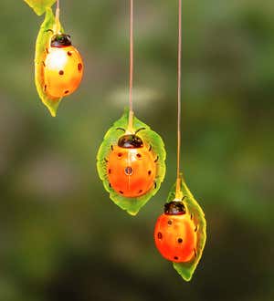 Ladybugs Solar Mobile