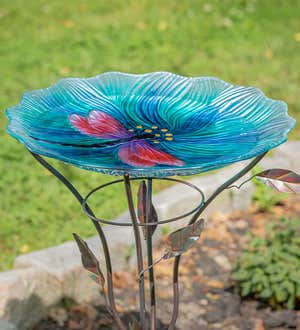 Glass Birdbath with Dragonfly Motif