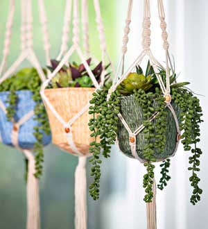 Olivia Fabric Planter with Macrame Holder - Ochre