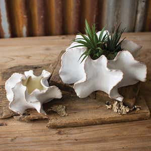 Organic Ceramic Planters Set of 2