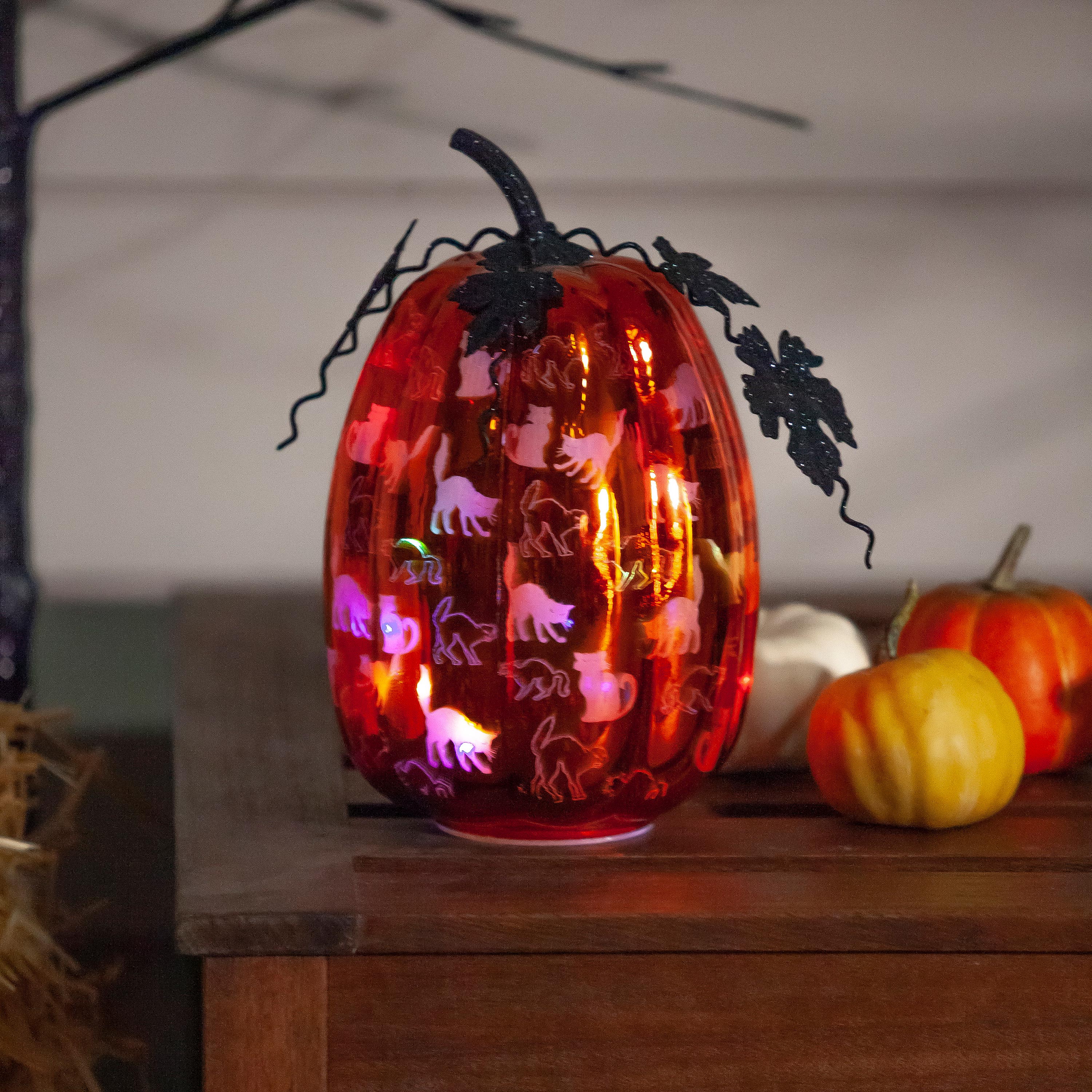 12 Battery Operated LED Witch Halloween Lantern - National Tree Company