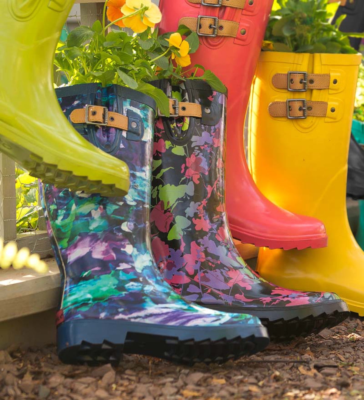 Chooka® Women's Printed Tall Rain Boots | PlowHearth