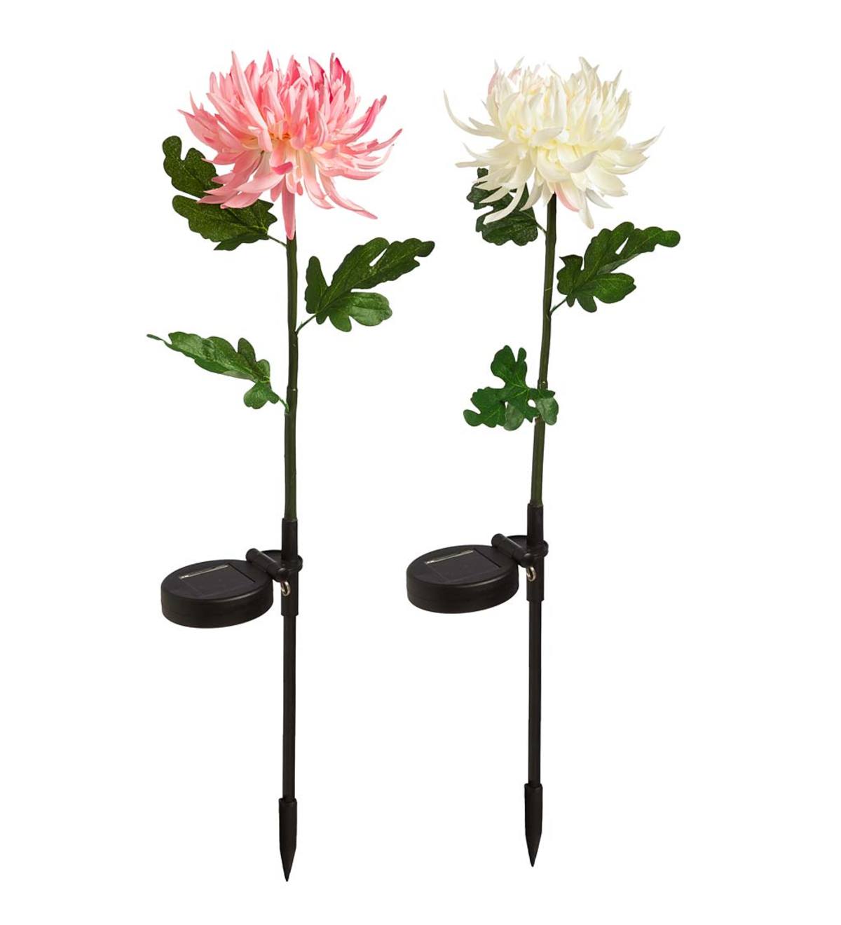 Solar Flower Garden Stakes, Set of 2 Plow & Hearth