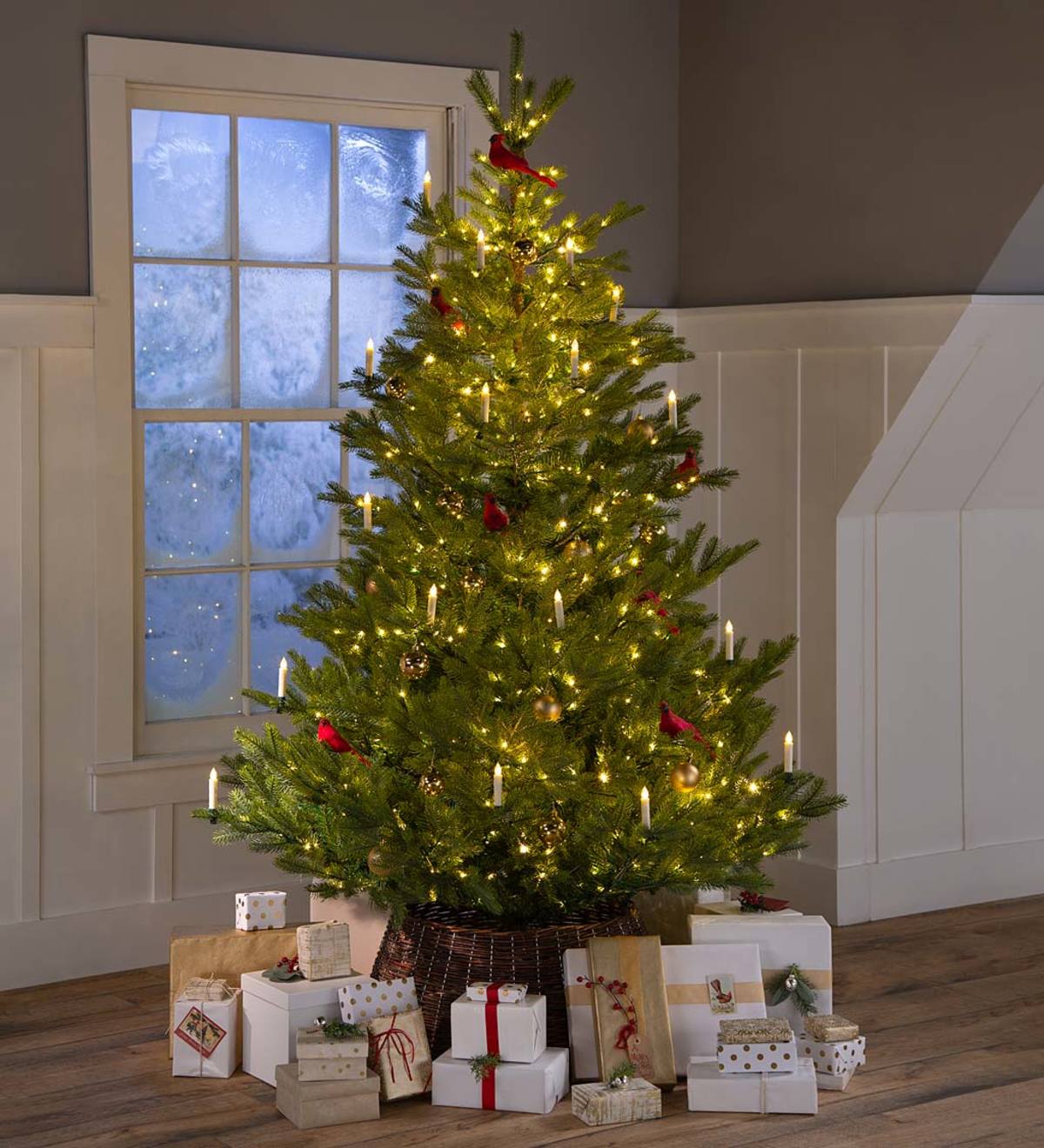 7' Arlberg Fir Christmas Tree | Eligible for Promotions | Collections ...