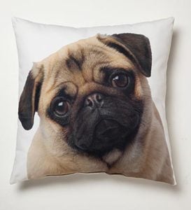 Lava Dog Photo Photo-Printed Pillows | PlowHearth