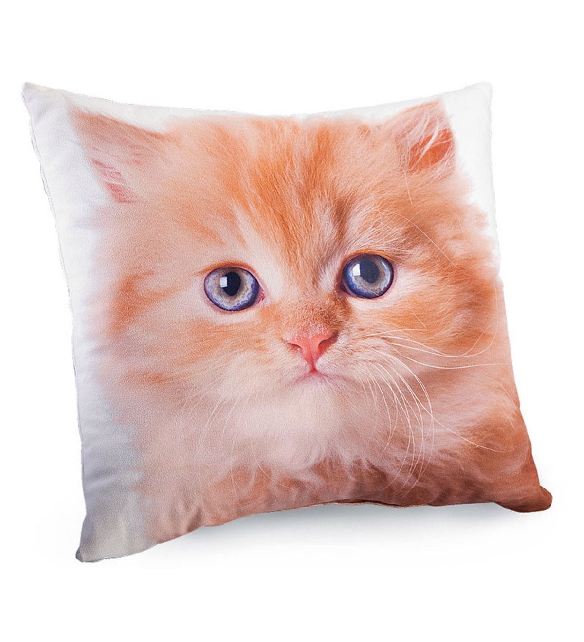 Lava Cat Photo Photo-Printed Pillows | PlowHearth