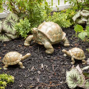 A set of resin tortoise garden statues in a yard. Shop Gifts $50 - $100