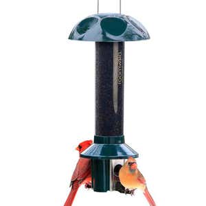 Heavy-Duty Telescoping Metal Birdhouse and Bird Feeder Pole