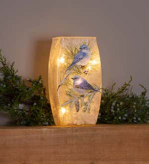 A winter bluebirds frosted glass accent light. Shop Gifts for Her >