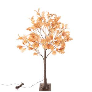 Wind & Weather Extra Large Indoor/Outdoor Birch Tree with 750 Warm White Lights - Brown