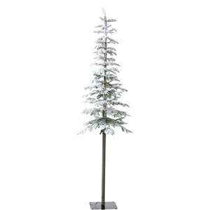 Medium 6'H Indoor/Outdoor Birch Tree with 256 White and Multicolor Lights