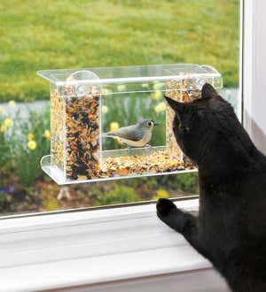 Image of a One-Way Mirror Window Feeder. Shop Gifts for Bird Lovers